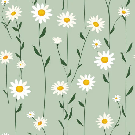 Adria Daisy Wallpaper