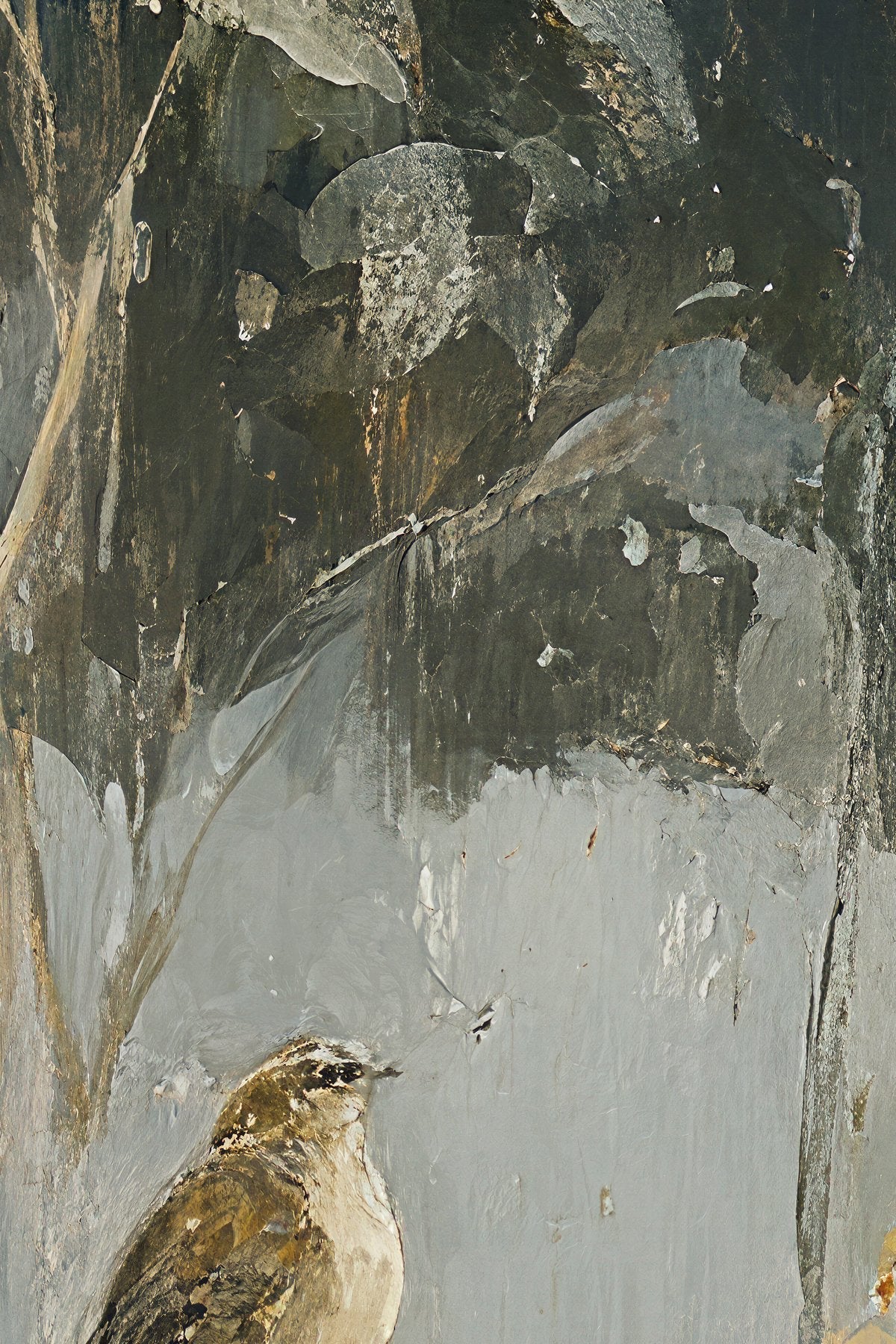 Jardin - Wall Mural