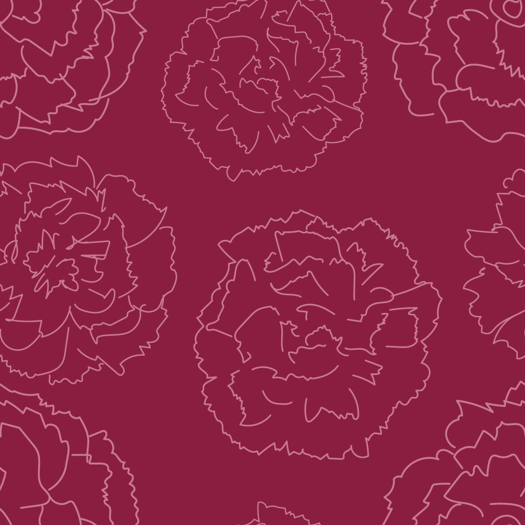 Pink Carnations Wallpaper