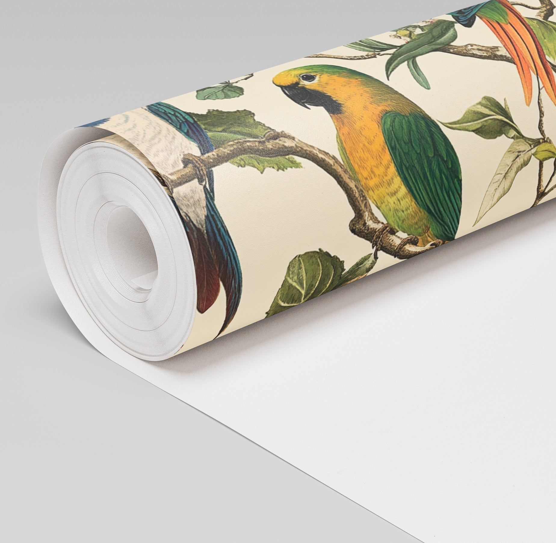 Birds of Bellamy Wallpaper - Painted Paper