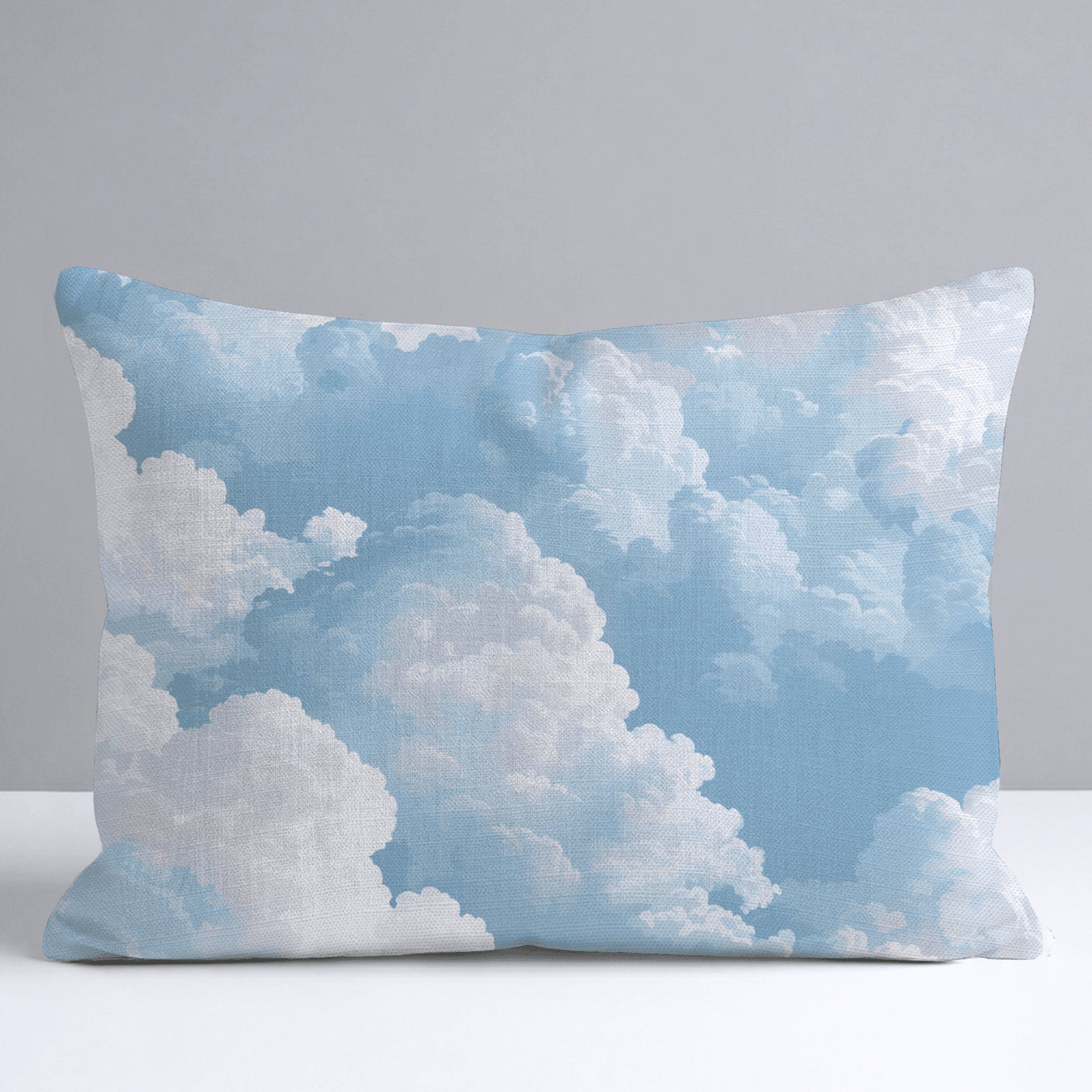 Charlotte Throw Pillow - Benton Lane Home - Lemon Park