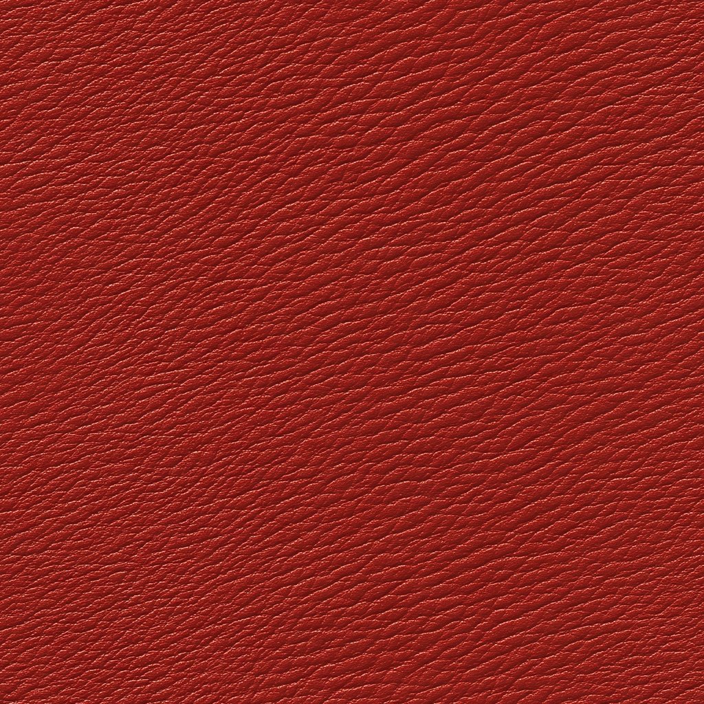 Crimson Hide Wallpaper - Benton Lane Home - Painted Paper