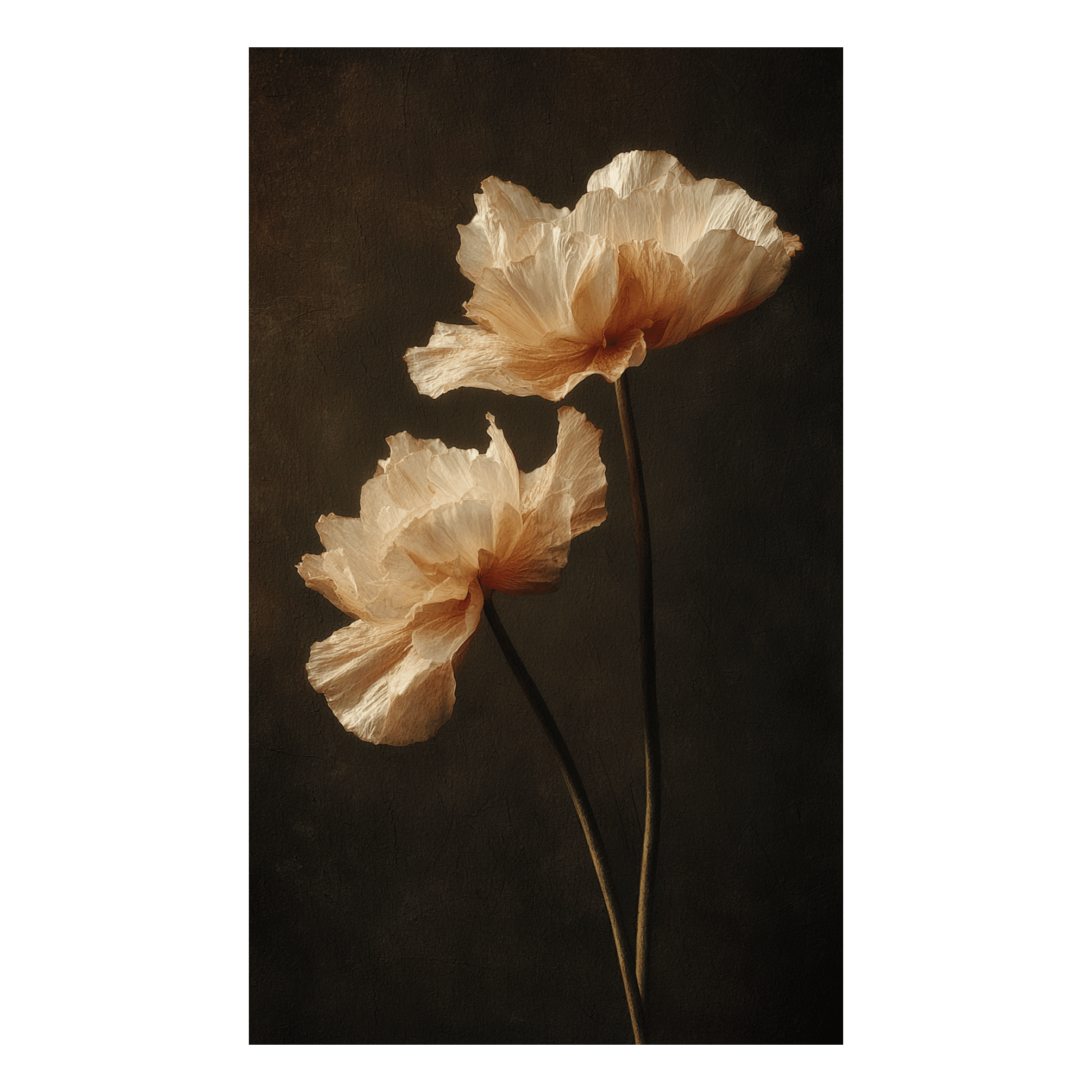 Delicate Poppies - Tapestry - Benton Lane Home - Painted Paper