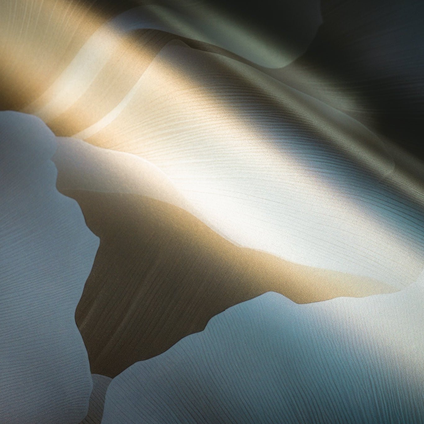 Floral Embrace Wallpaper - Benton Lane Home - Painted Paper