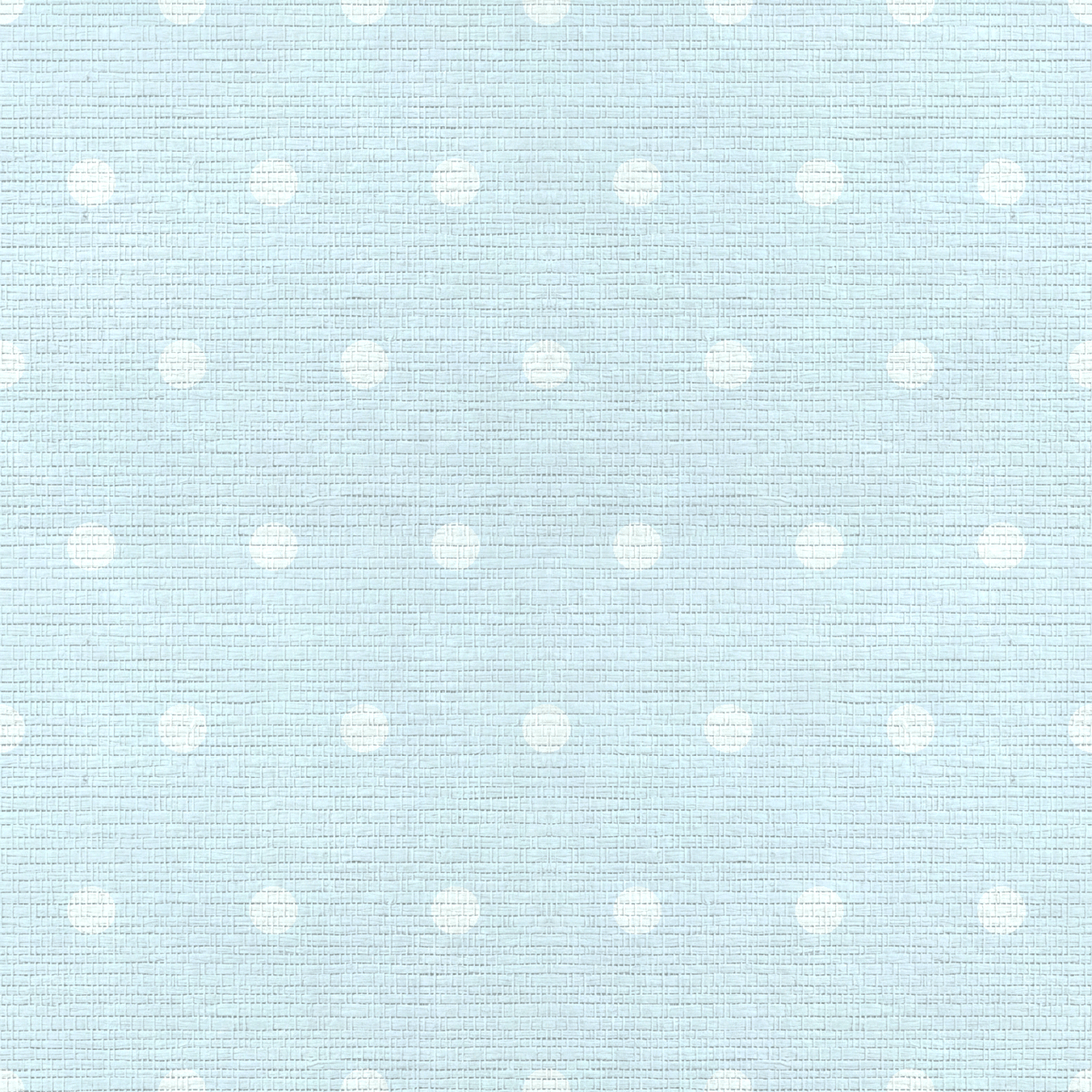 Key Lime Columbia Blue Polka Dot Faux Grasscloth Wallpaper - Lemon Park