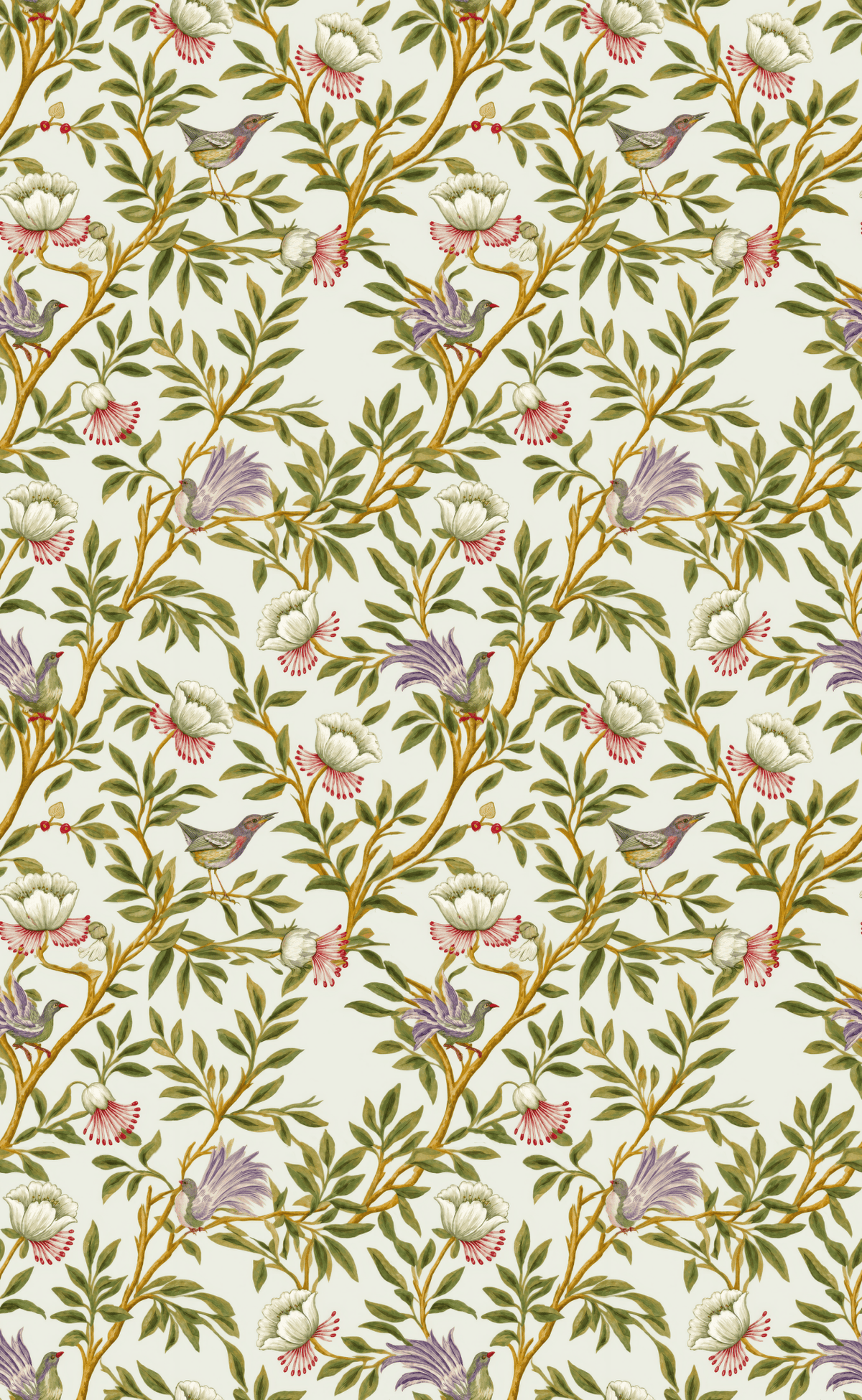 Louise & Frills - Wall Mural - Painted Paper