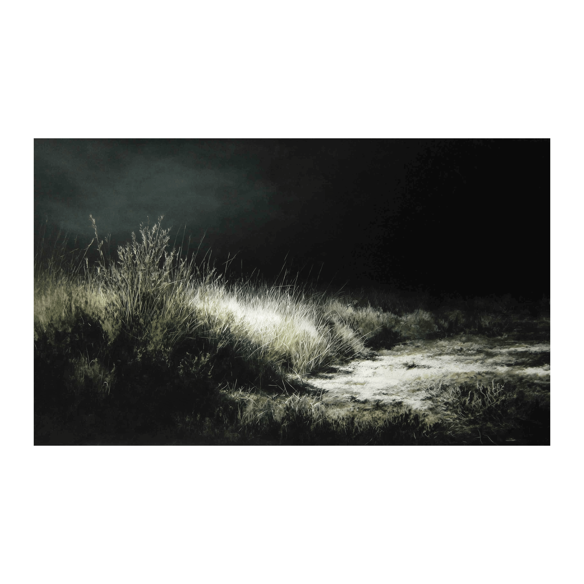 Night Meadow - Tapestry - Benton Lane Home - Painted Paper
