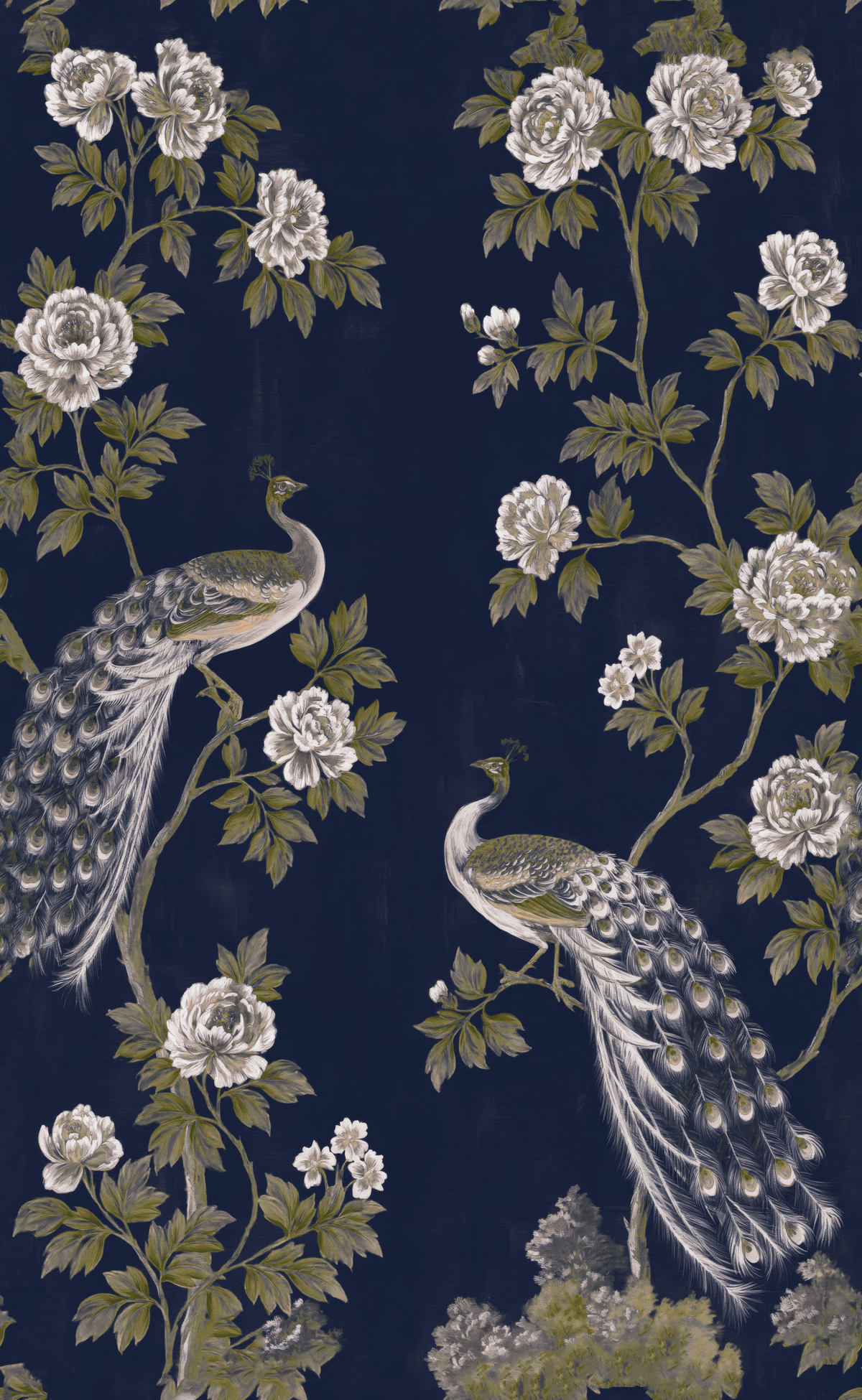 Peacock Elegance - Wall Mural - Painted Paper