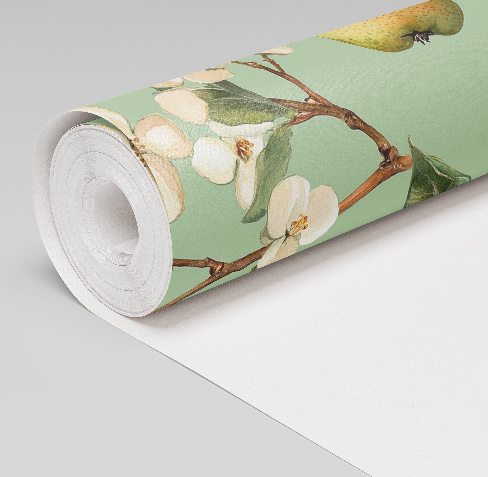 Pear Blossom Wallpaper - Benton Lane Home - Painted Paper