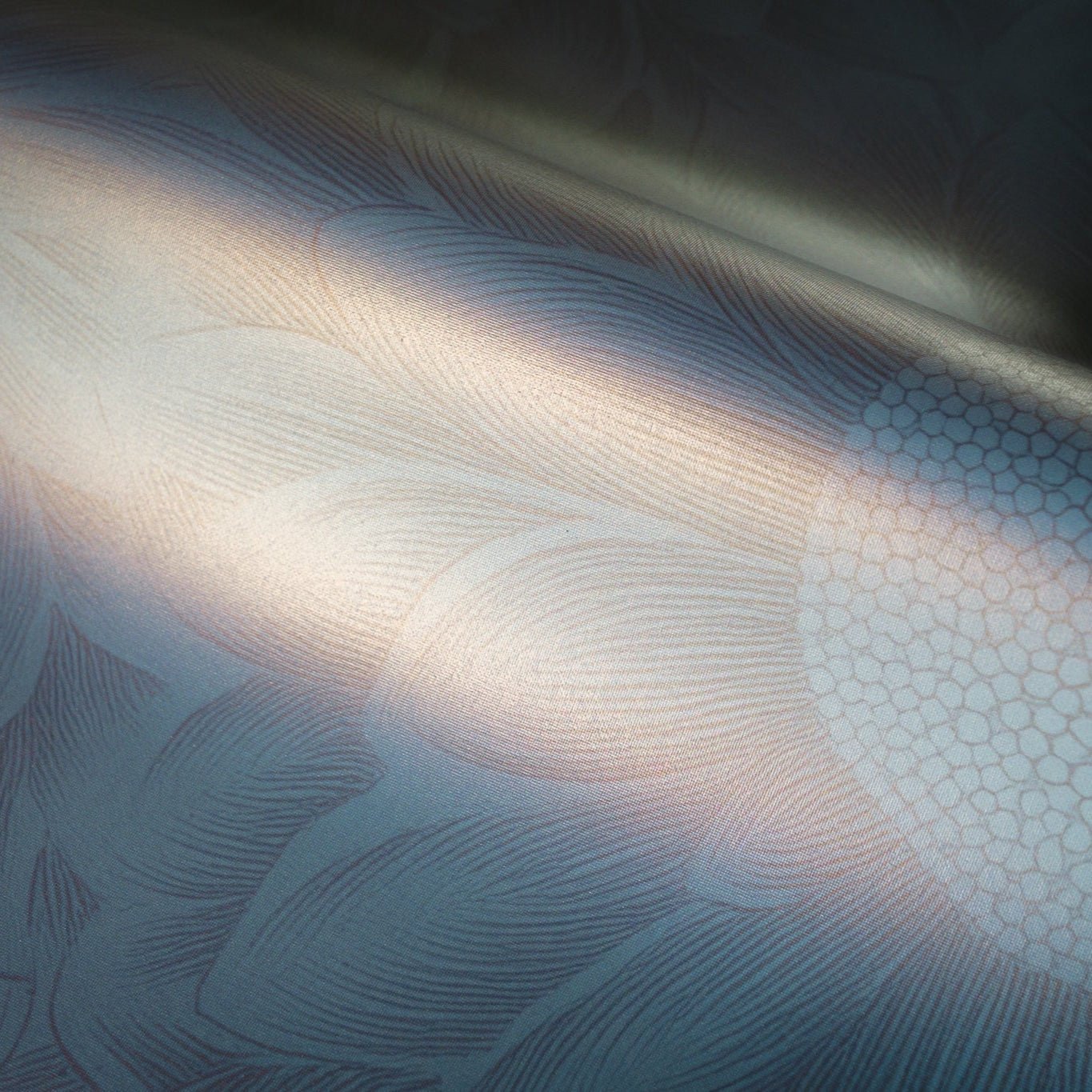 Sunveil Wallpaper - Benton Lane Home - Painted Paper