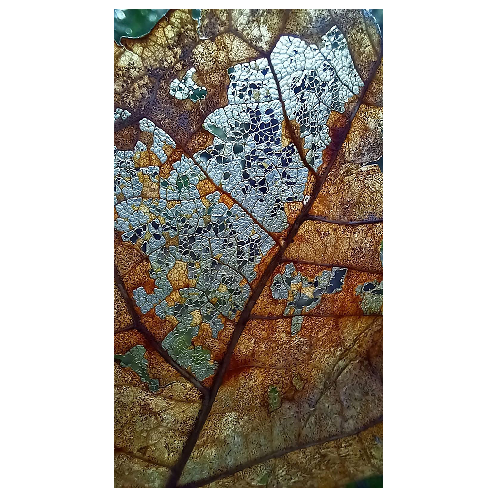 Weathered Veins - Tapestry - Benton Lane Home - Painted Paper